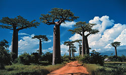 Landscapes & other Beauties of Nature